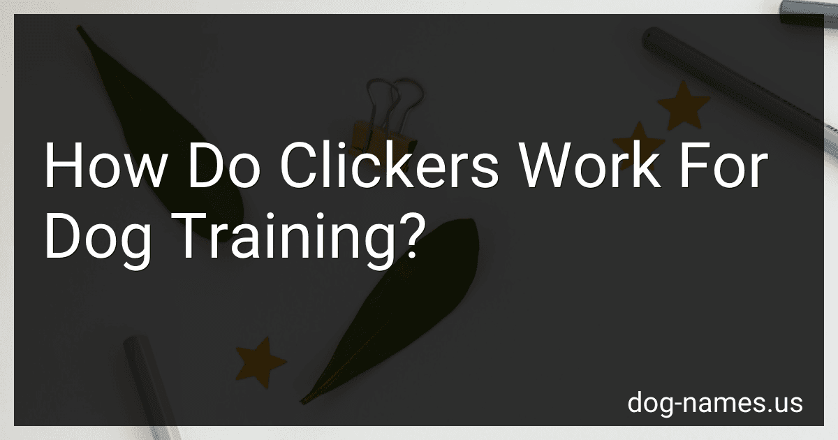 How Do Clickers Work For Dog Training? preview