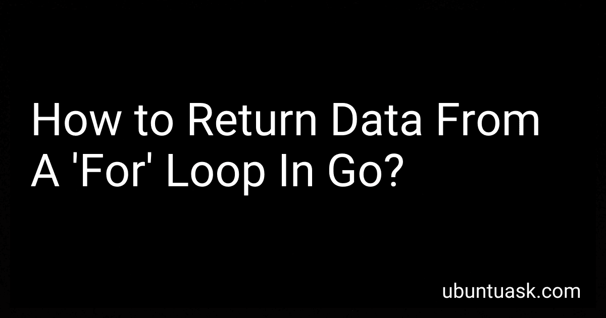 How to Return Data From A 'For' Loop In Go? image