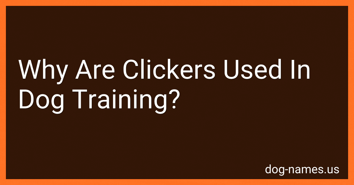 Why Are Clickers Used In Dog Training? image