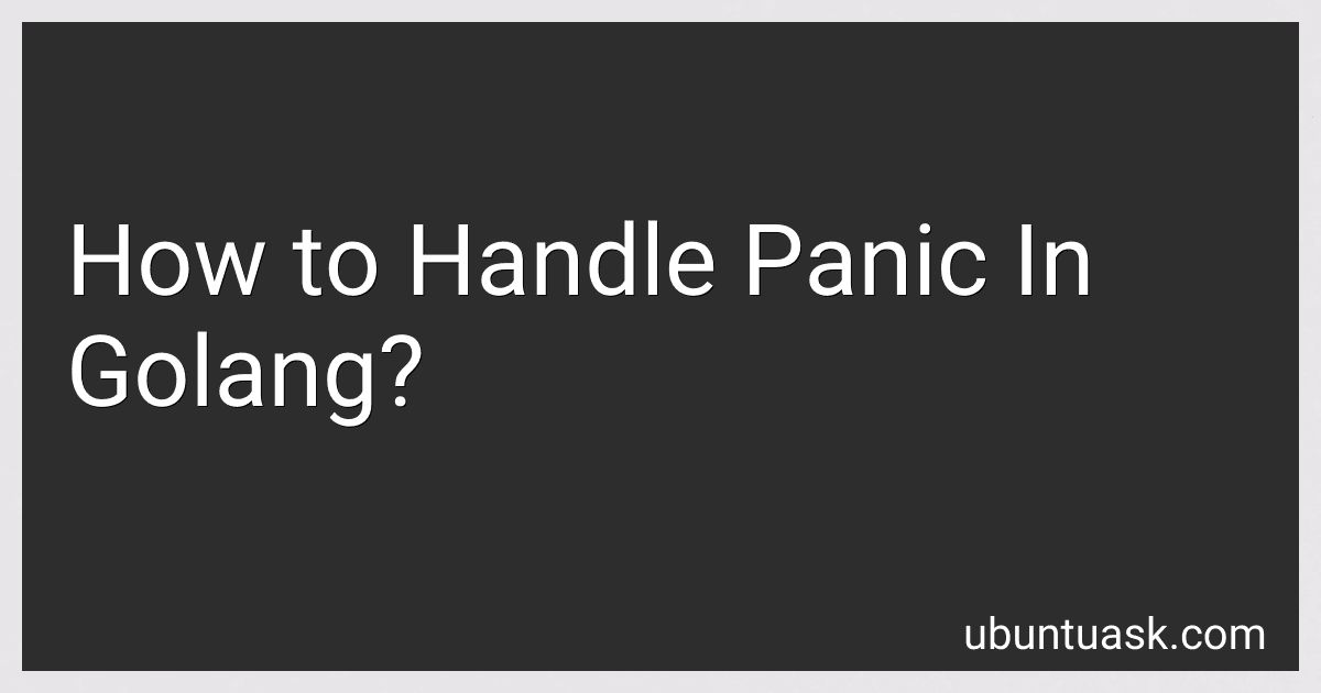 How to Handle Panic In Golang? image