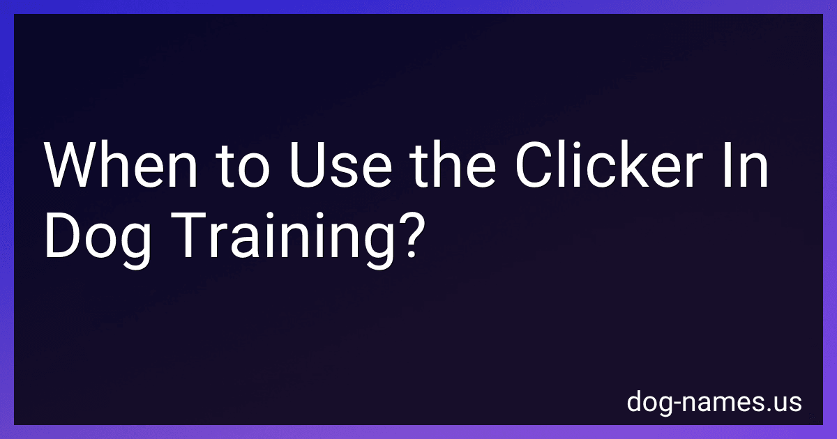 When to Use the Clicker In Dog Training? preview