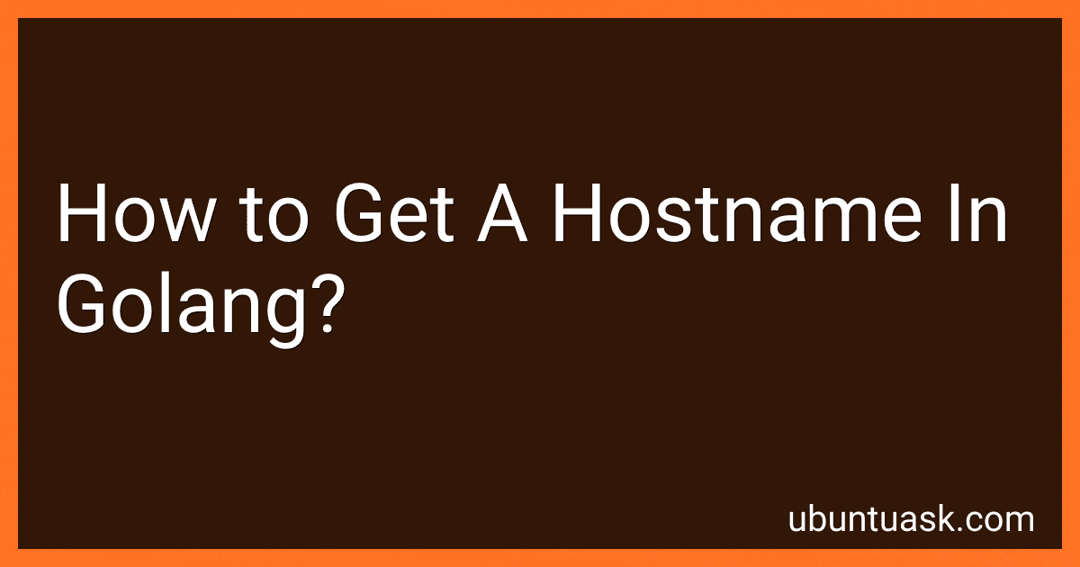 How to Get A Hostname In Golang? image