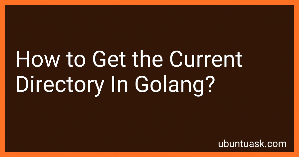 How to Get the Current Directory In Golang? image