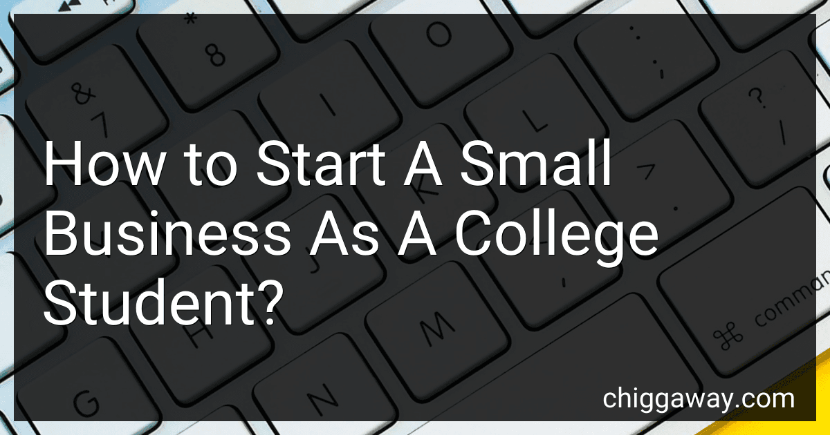 How to Start A Small Business As A College Student? preview
