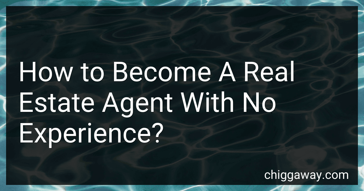How to Become A Real Estate Agent With No Experience? preview