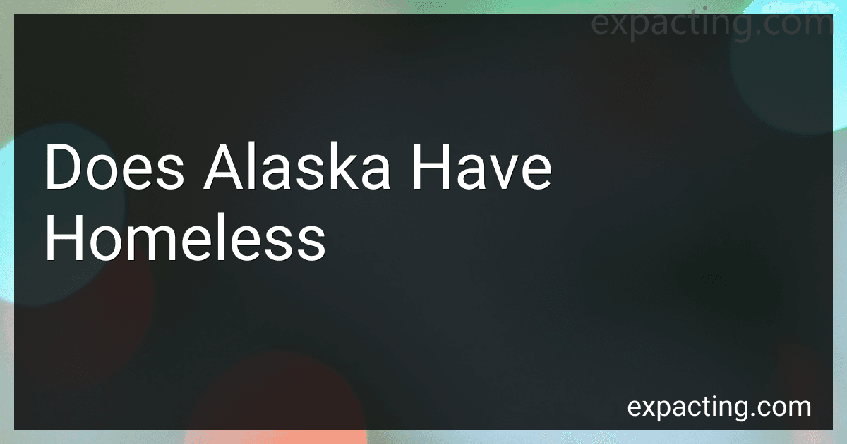 Does Alaska Have Homeless image