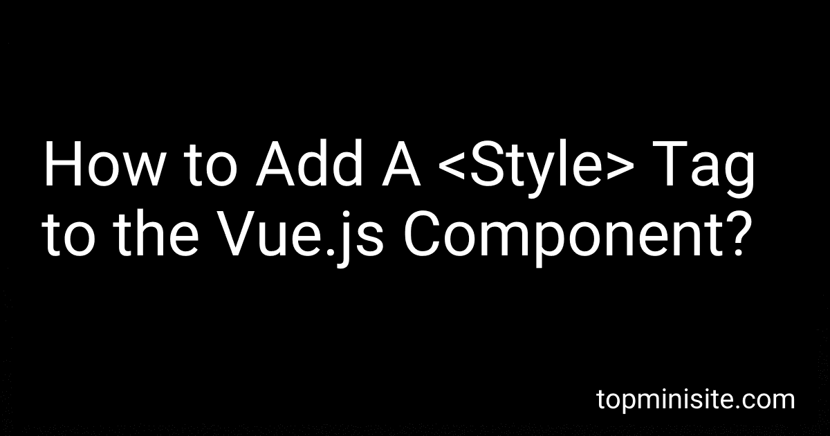 How to Add A <Style> Tag to the Vue.js Component? image