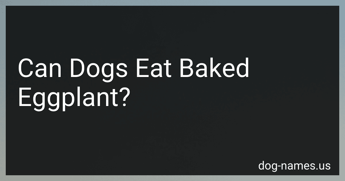 Can Dogs Eat Baked Eggplant? preview