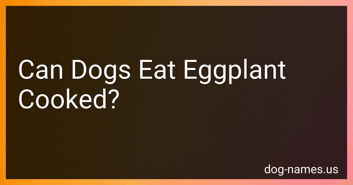 Can Dogs Eat Eggplant Cooked? preview