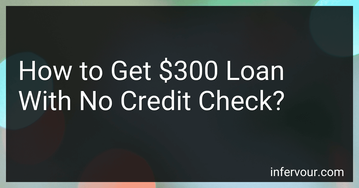 How to Get $300 Loan With No Credit Check? image