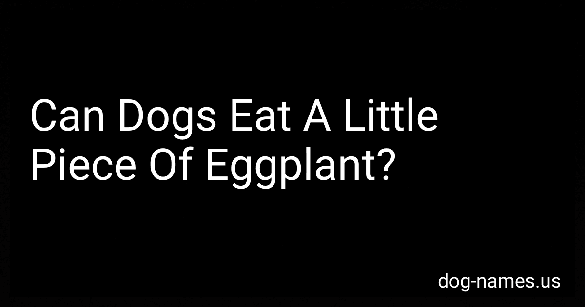 Can Dogs Eat A Little Piece Of Eggplant? preview