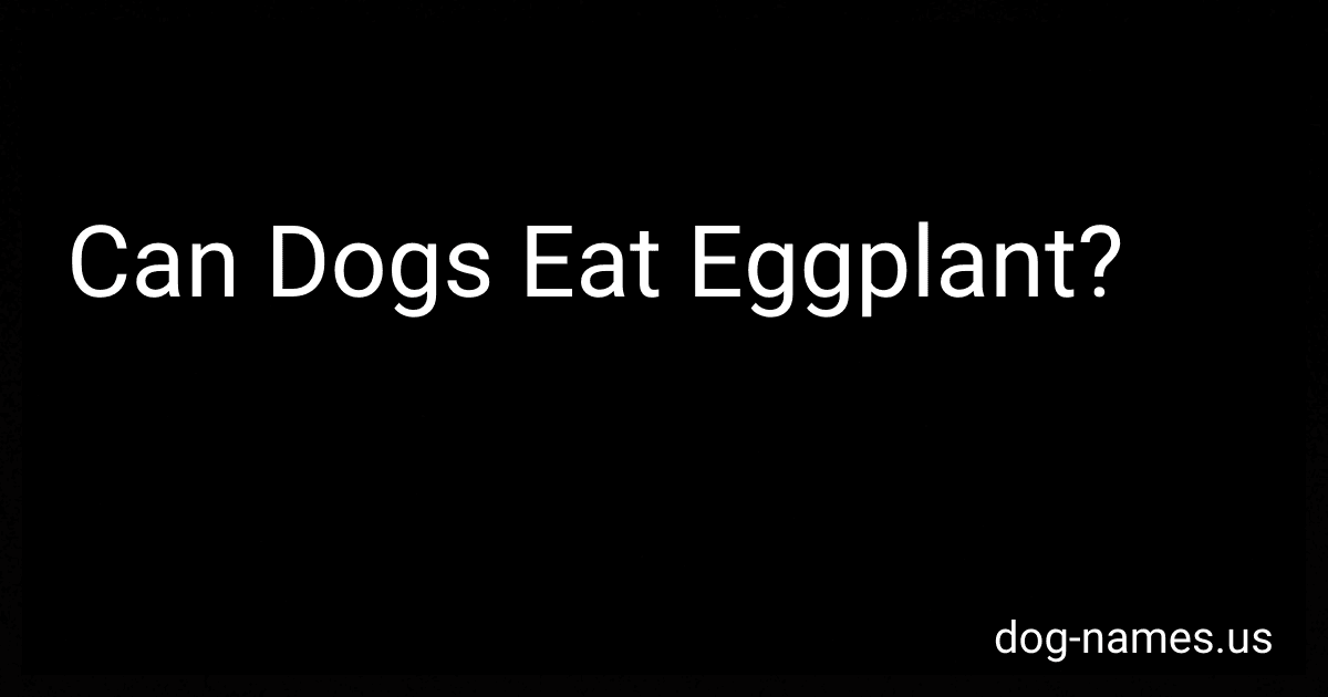 Can Dogs Eat Eggplant? preview