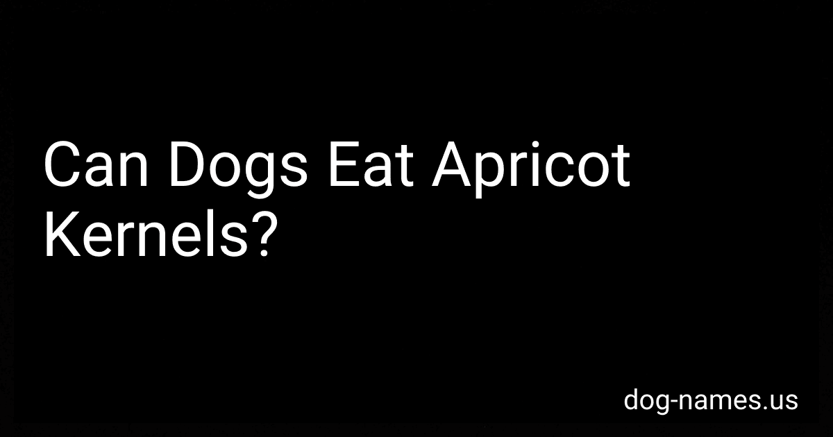 Can Dogs Eat Apricot Kernels? preview