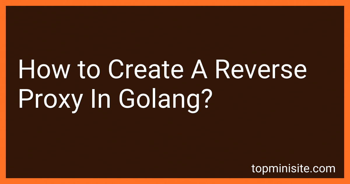 How to Create A Reverse Proxy In Golang? image