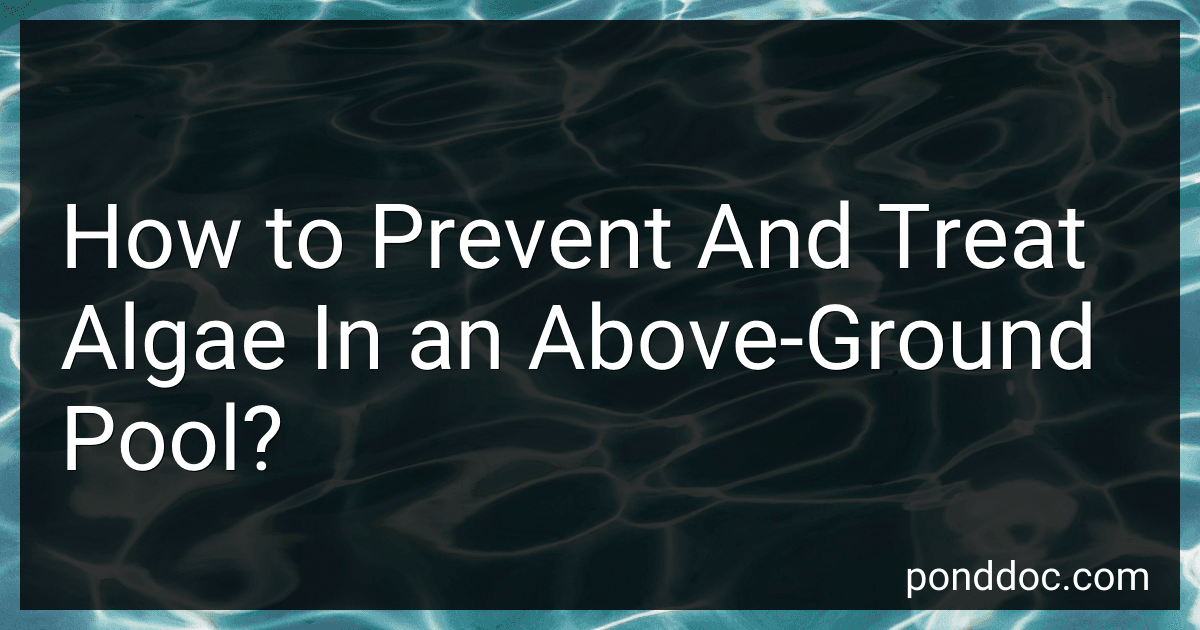 How to Prevent And Treat Algae In an Above-Ground Pool? image