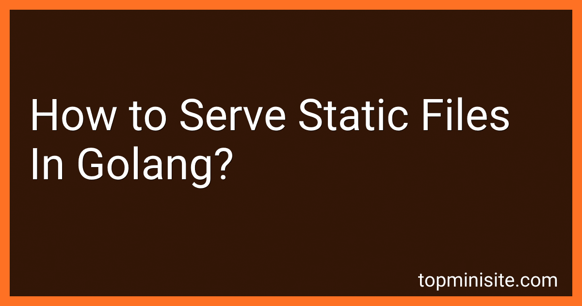 How to Serve Static Files In Golang? image