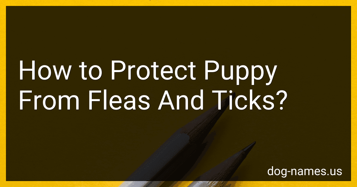 How to Protect Puppy From Fleas And Ticks? preview