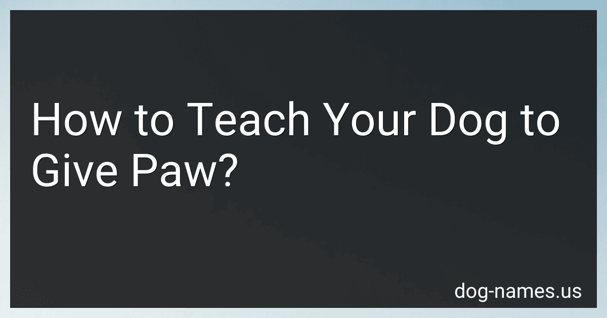 How to Teach Your Dog to Give Paw? preview