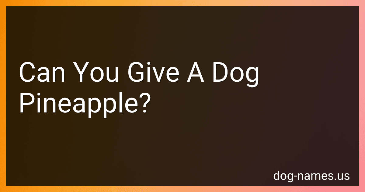 Can You Give A Dog Pineapple? preview