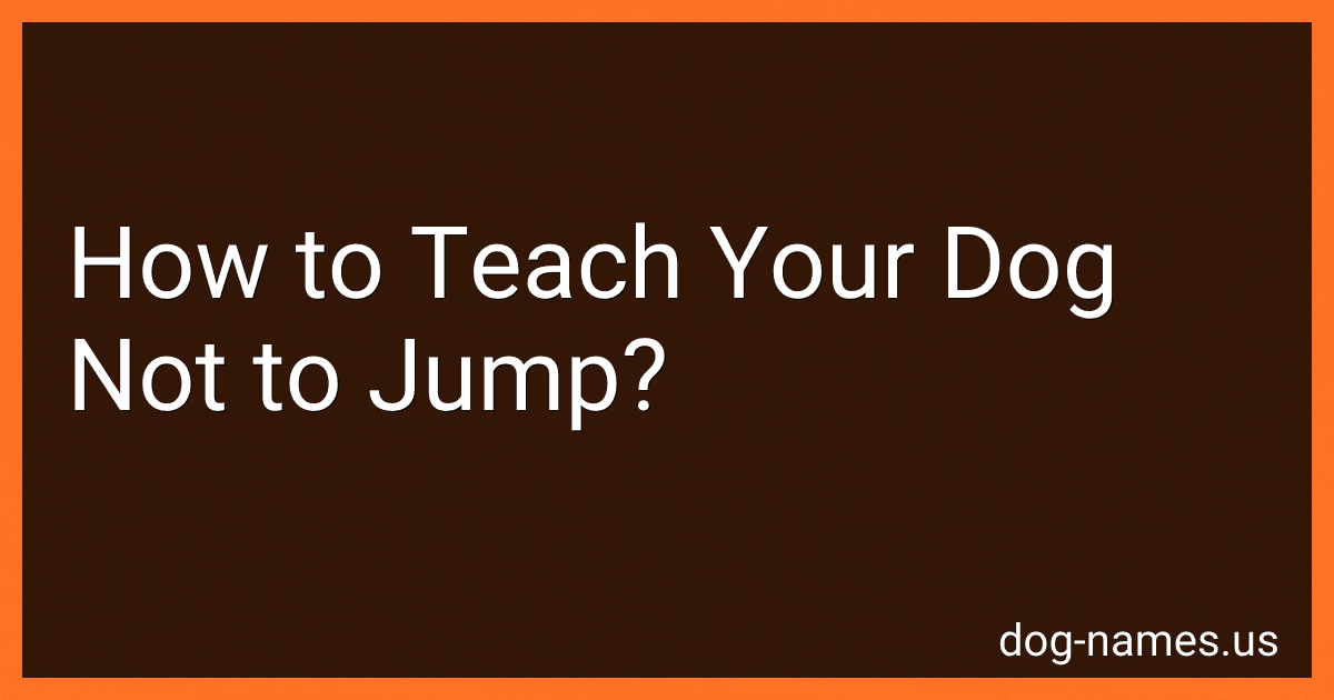 How to Teach Your Dog Not to Jump? preview