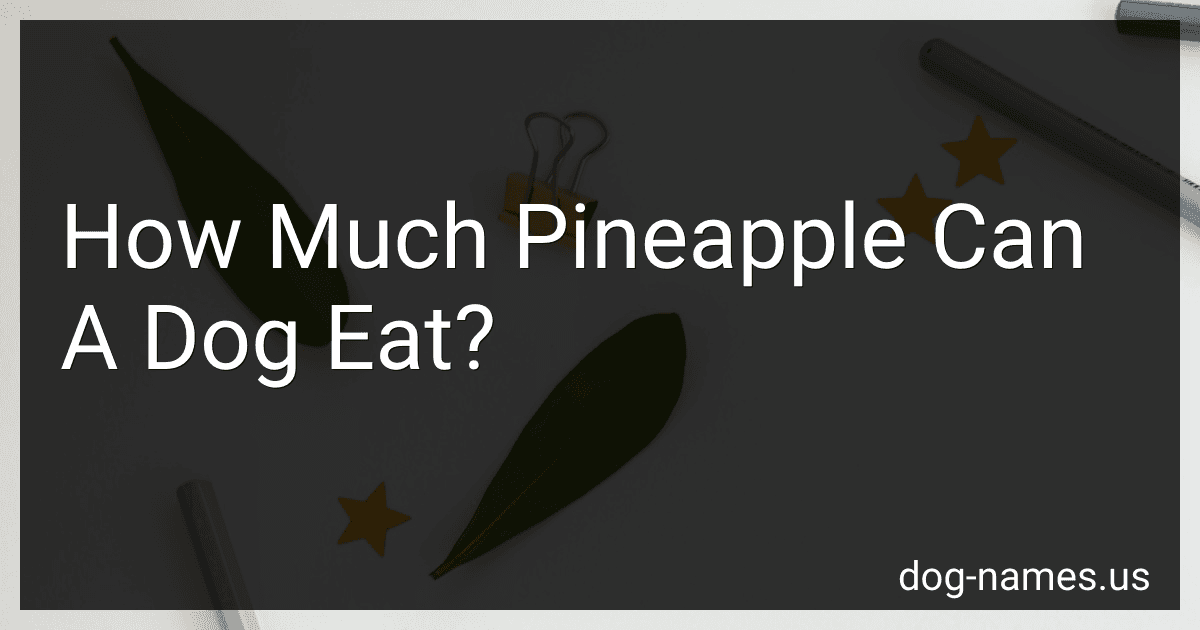 How Much Pineapple Can A Dog Eat? preview