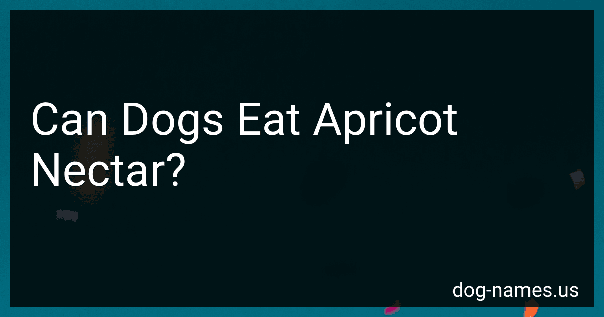 Can Dogs Eat Apricot Nectar? preview