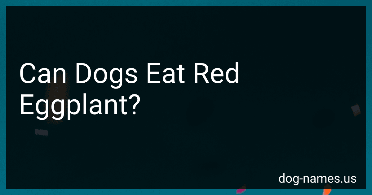 Can Dogs Eat Red Eggplant? preview