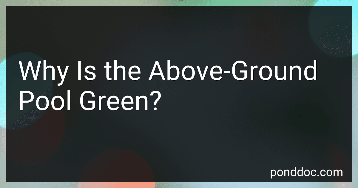 Why Is the Above-Ground Pool Green? image