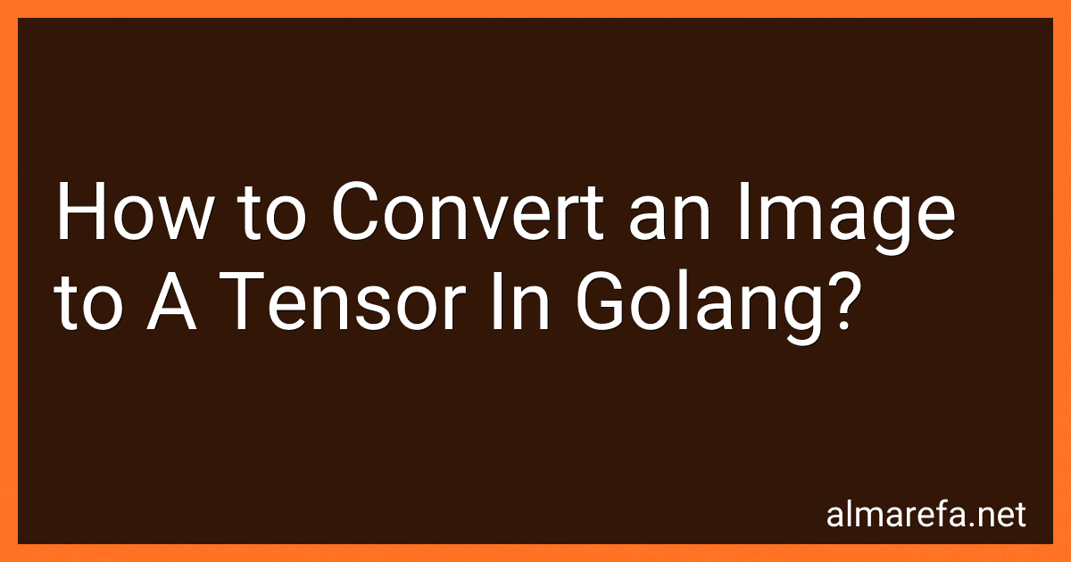 How to Convert an Image to A Tensor In Golang? image