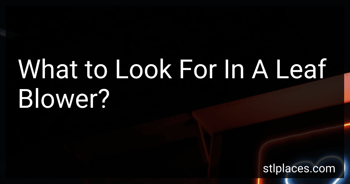 What to Look For In A Leaf Blower? image