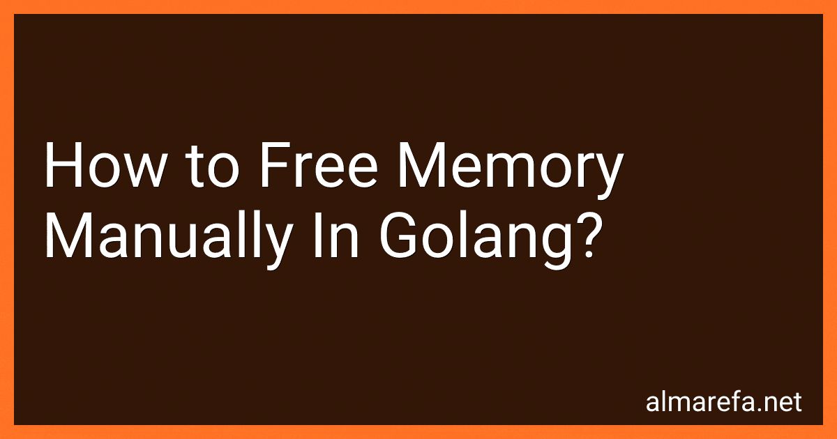 How to Free Memory Manually In Golang? image