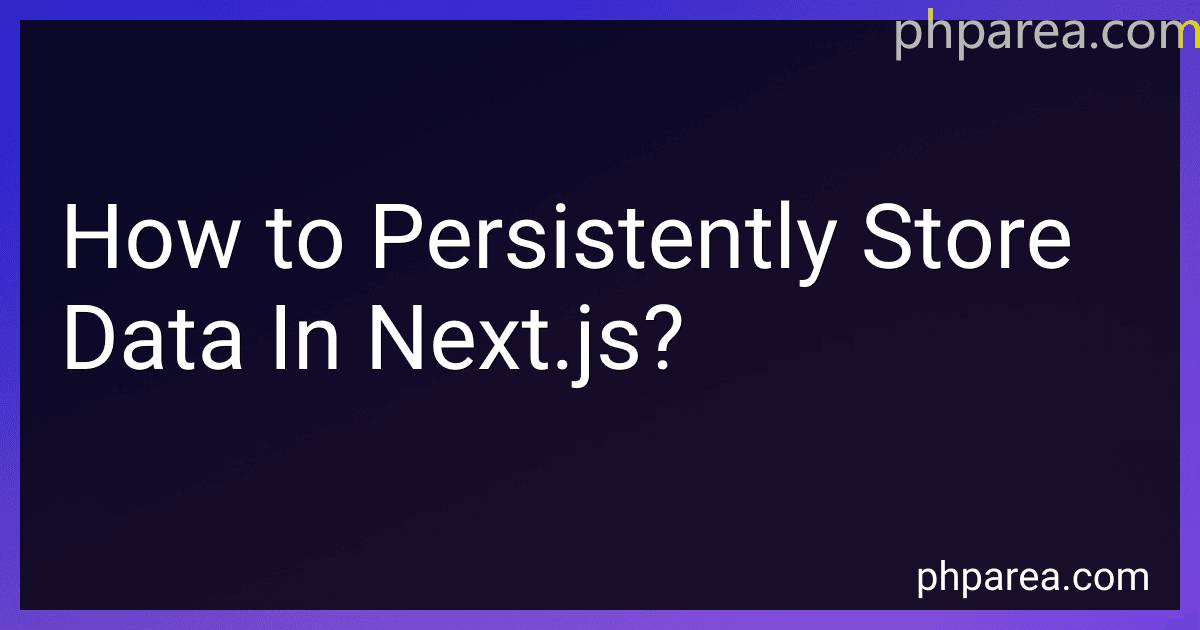 How to Persistently Store Data In Next.js? image