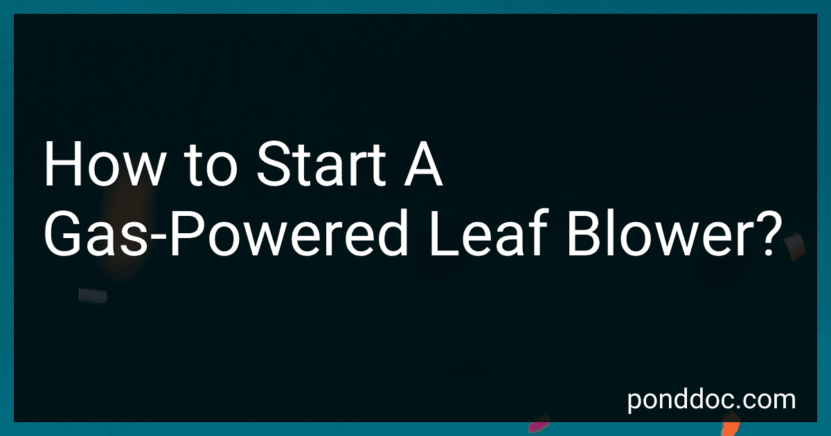 How to Start A Gas-Powered Leaf Blower? image