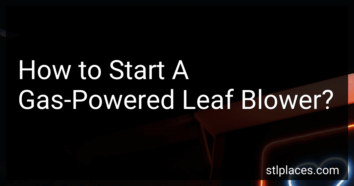 How to Start A Gas-Powered Leaf Blower? image