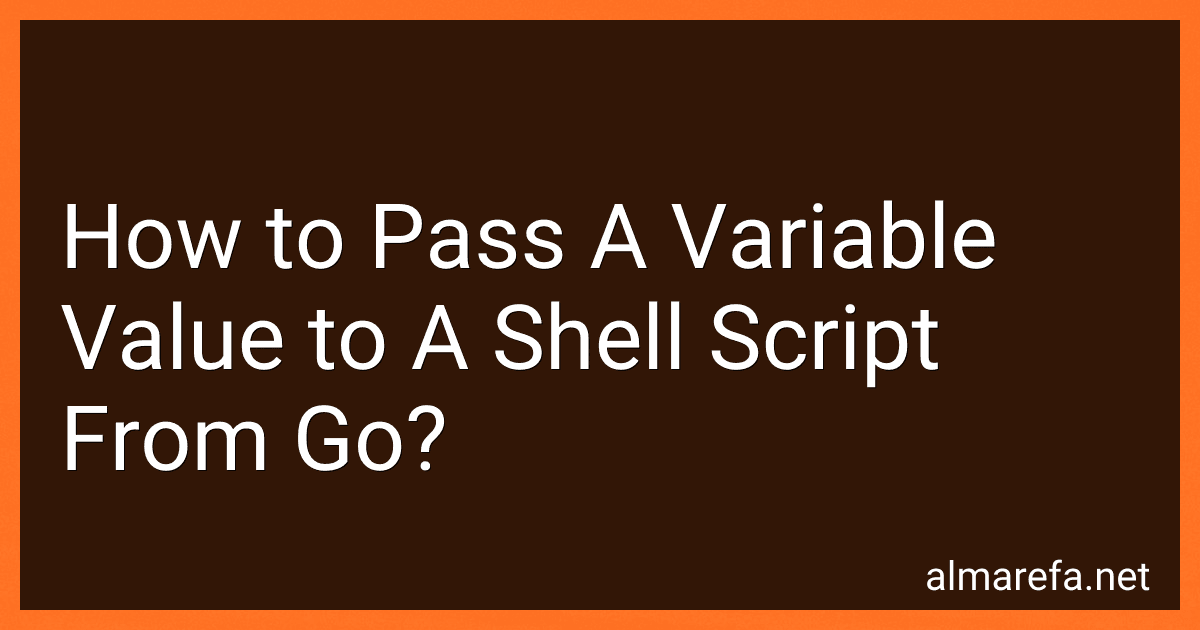 How to Pass A Variable Value to A Shell Script From Go? image