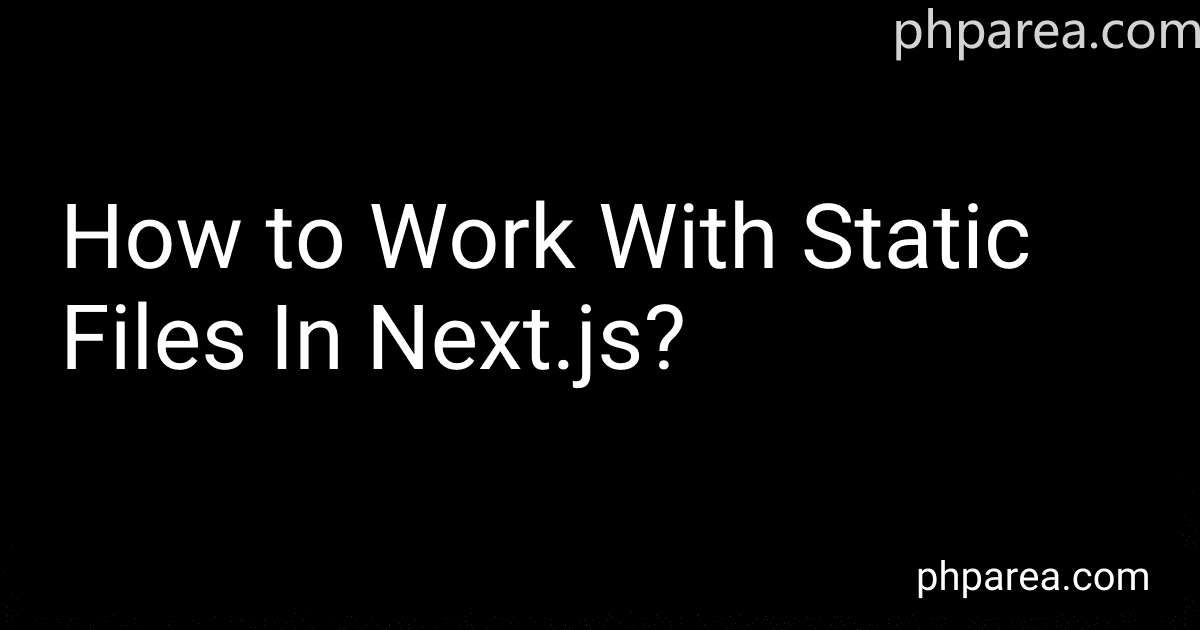 How to Work With Static Files In Next.js? image