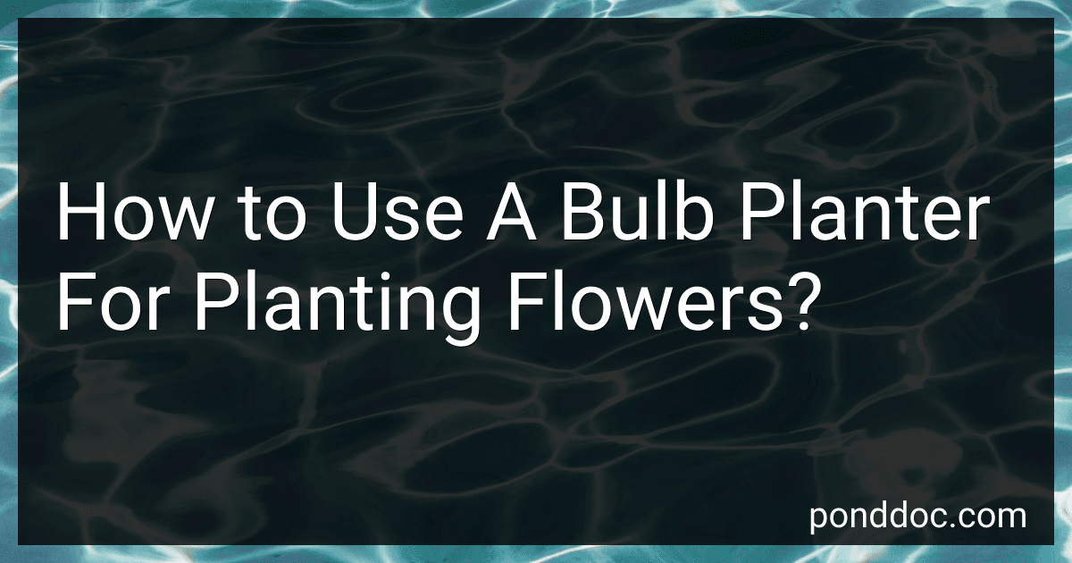 How to Use A Bulb Planter For Planting Flowers? image
