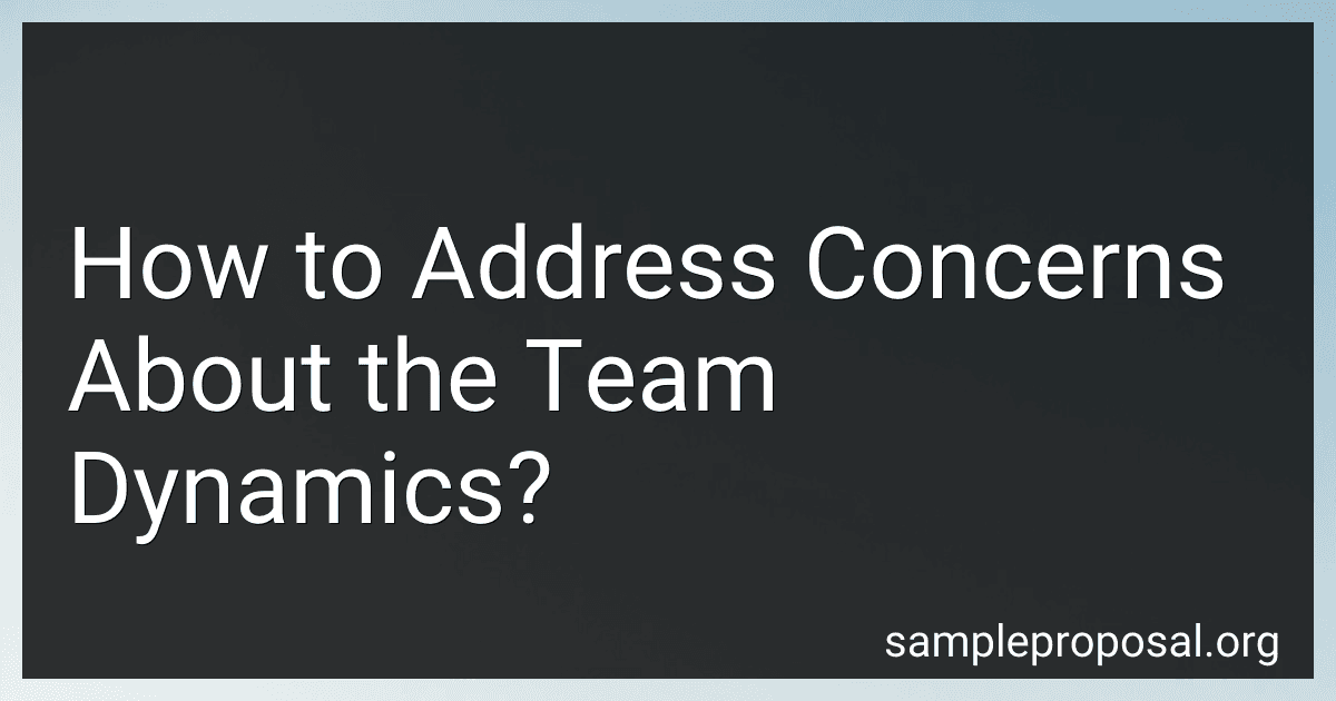 How to Address Concerns About the Team Dynamics? image
