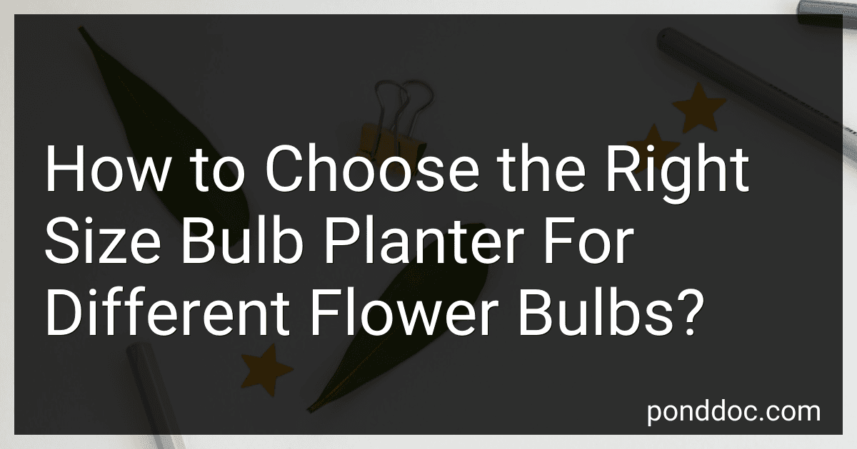 How to Choose the Right Size Bulb Planter For Different Flower Bulbs? image