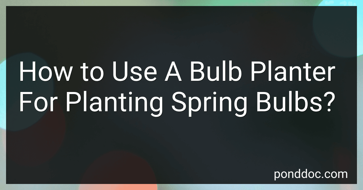 How to Use A Bulb Planter For Planting Spring Bulbs? image