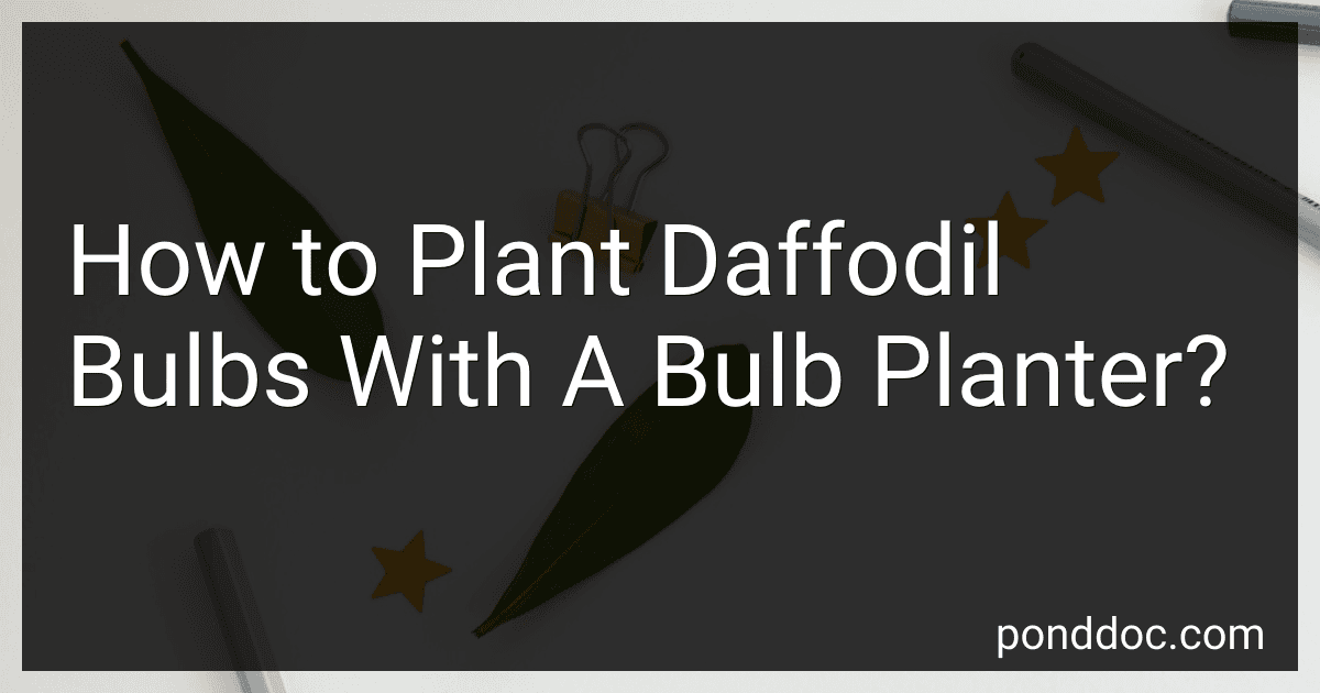 How to Plant Daffodil Bulbs With A Bulb Planter? image