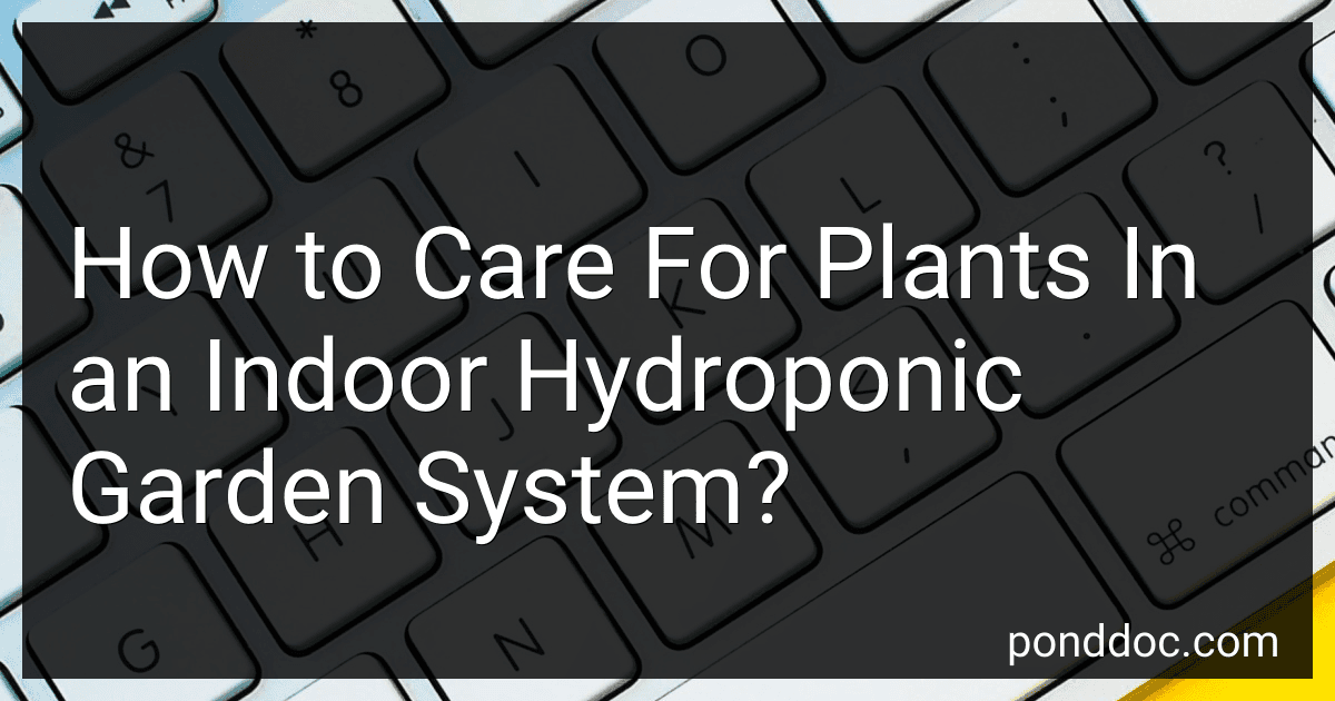 How to Care For Plants In an Indoor Hydroponic Garden System? image