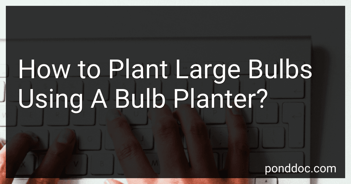 How to Plant Large Bulbs Using A Bulb Planter? image