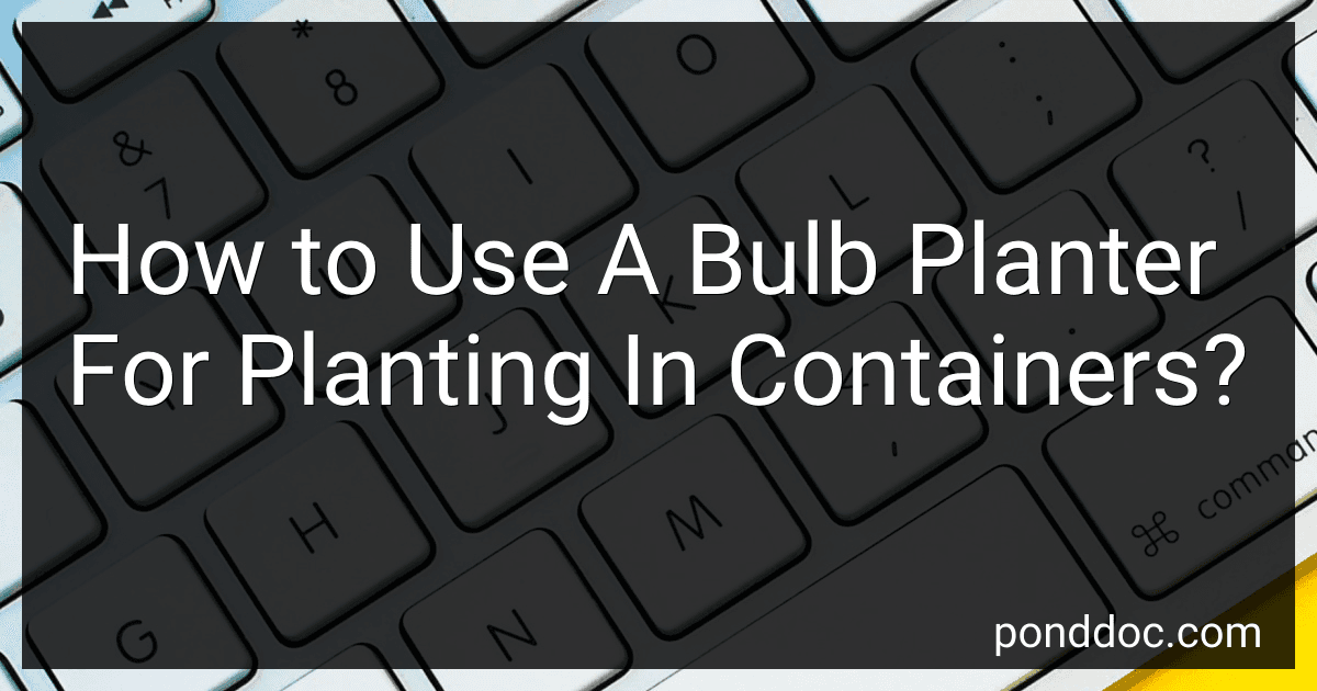 How to Use A Bulb Planter For Planting In Containers? image