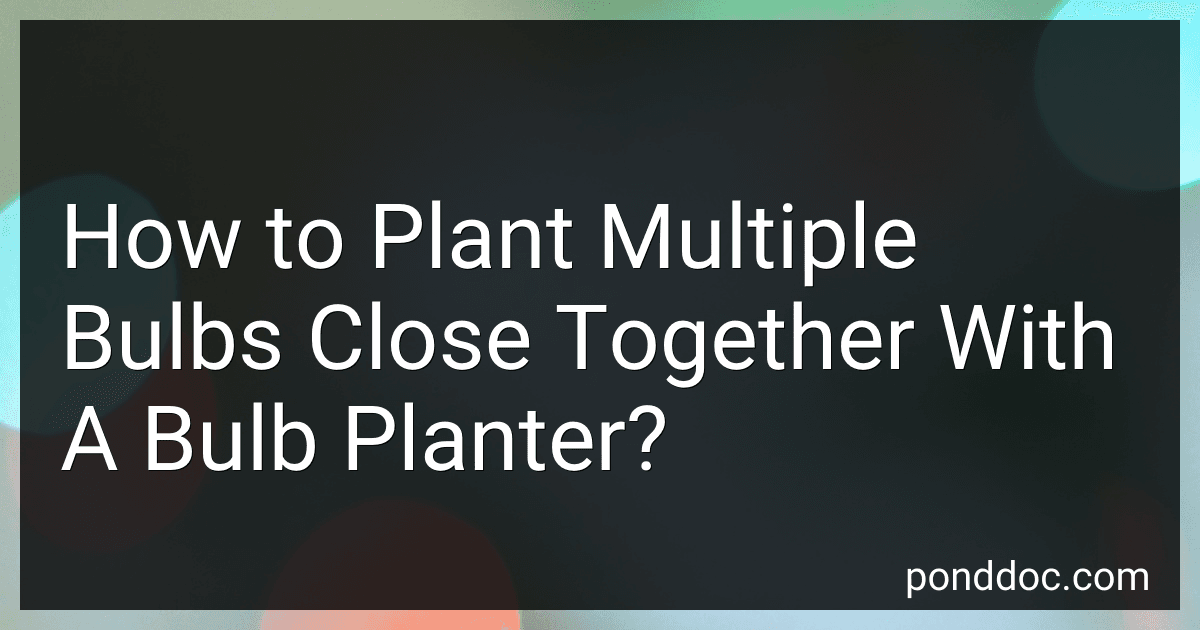 How to Plant Multiple Bulbs Close Together With A Bulb Planter? image