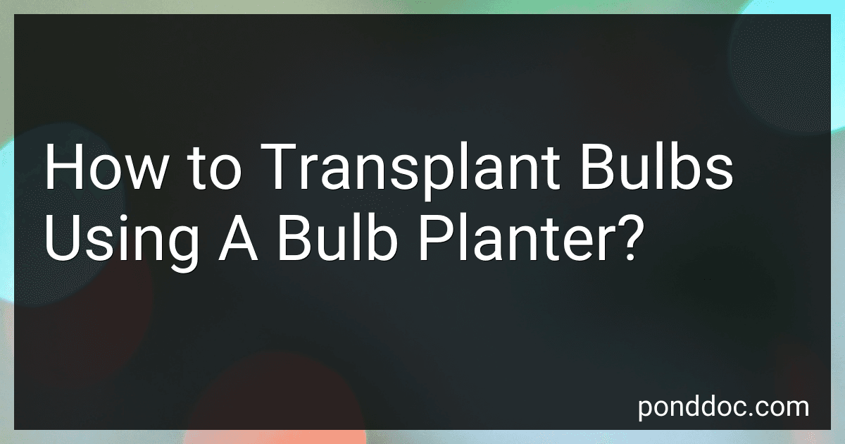 How to Transplant Bulbs Using A Bulb Planter? image