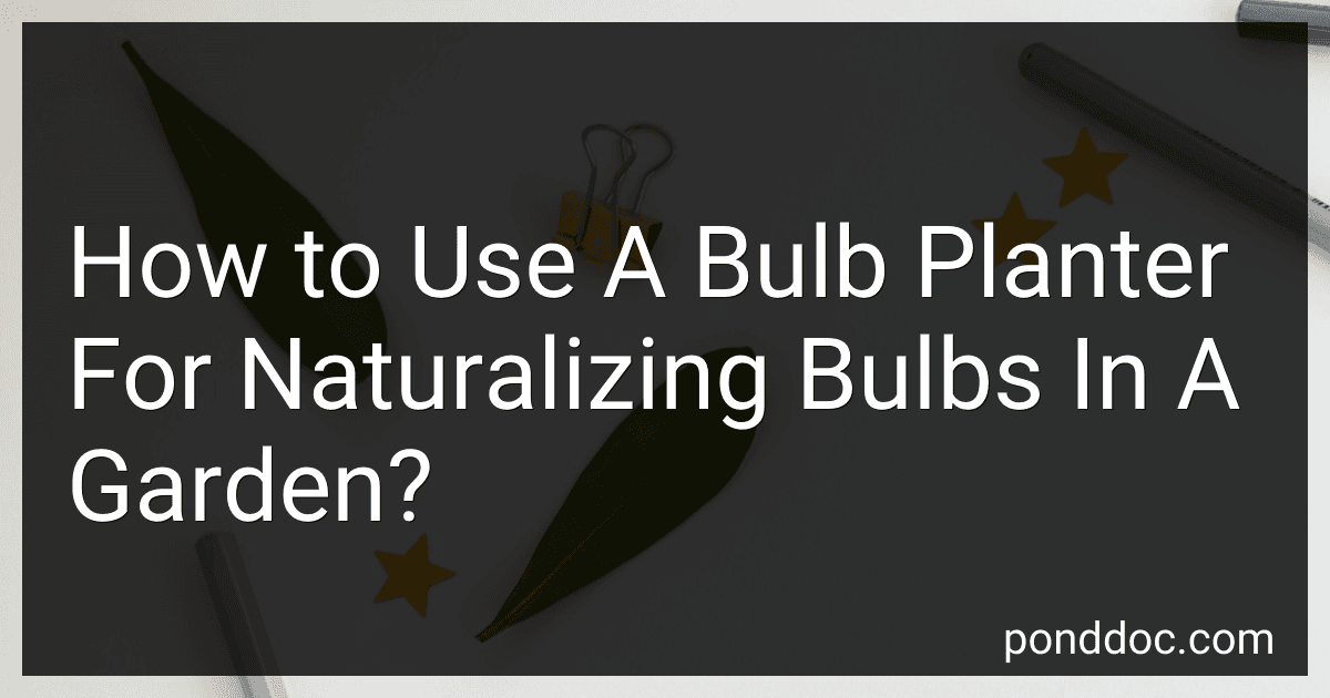 How to Use A Bulb Planter For Naturalizing Bulbs In A Garden? image