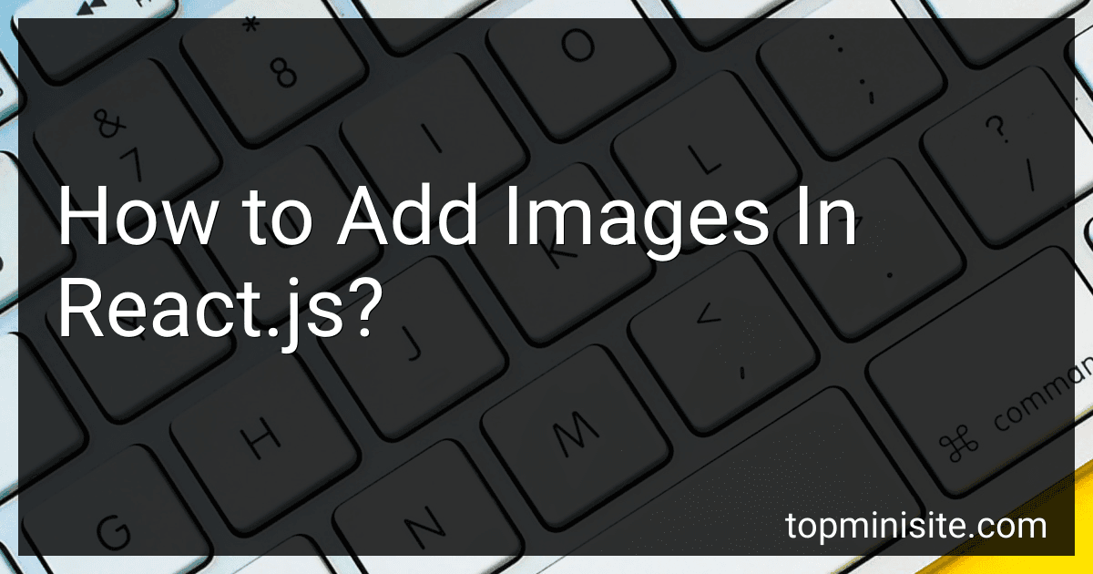 How to Add Images In React.js? image
