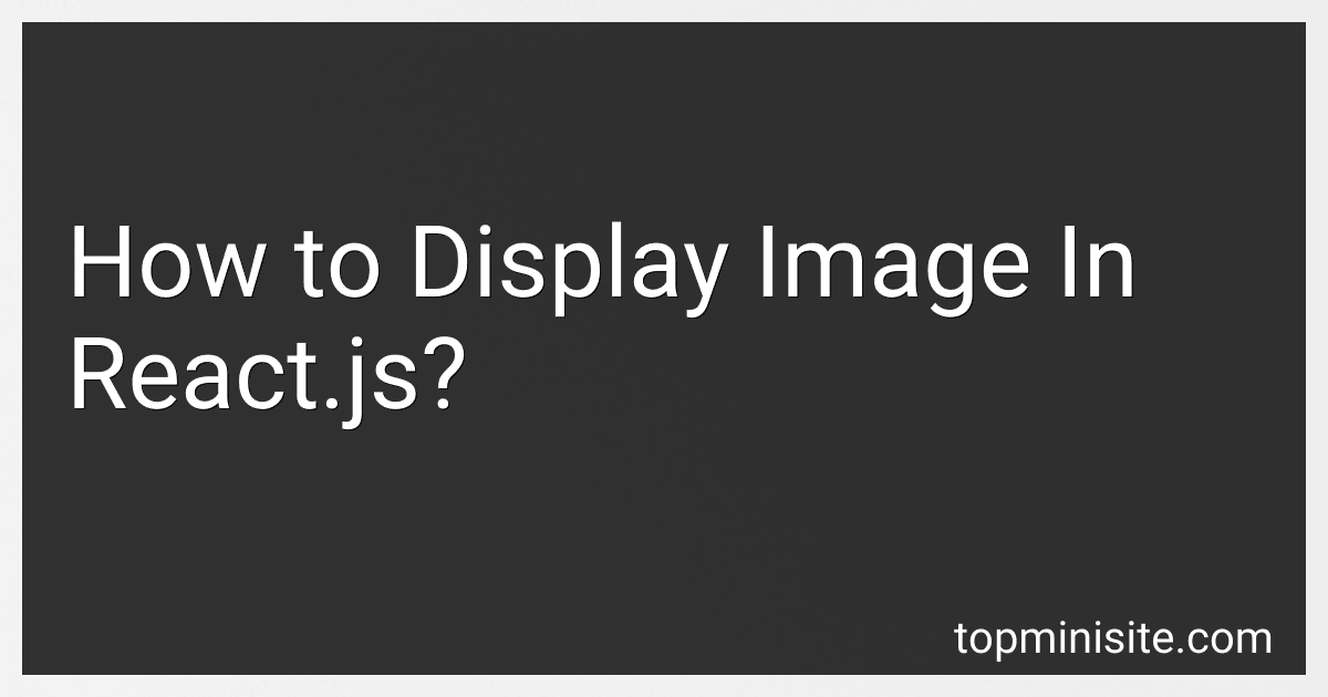 How to Display Image In React.js? image