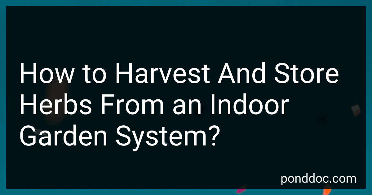 How to Harvest And Store Herbs From an Indoor Garden System? image